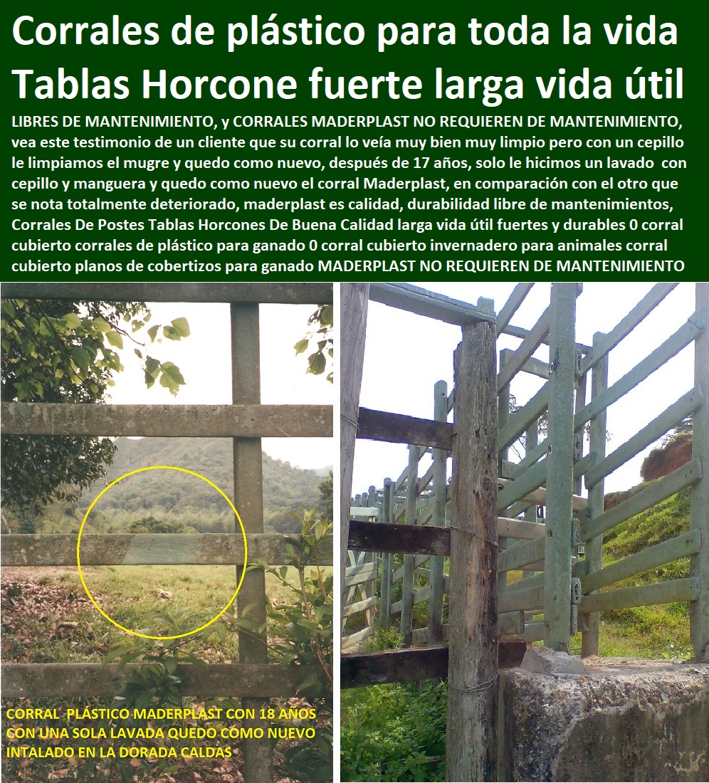 Corrales De Postes Tablas Horcones De Buena Calidad larga vida útil fuertes y durables 0 corral cubierto corrales de plástico para ganado 0 Corral Caballerizas, Pesebreras De Caballos, Plaza Toros, Brete Ganadero, Apretaderos Embarcaderos, Postes Tablas, Polines Varetas, Mangas De Coleo, Horcones Madera Plástica, Corrales, Establos De Ganado, Mangas De Coleo, corral cubierto invernadero para animales corral cubierto planos de cobertizos para ganado Corrales De Postes Tablas Horcones De Buena Calidad larga vida útil fuertes y durables 0 corral cubierto corrales de plástico para ganado 0 corral cubierto invernadero para animales corral cubierto planos de cobertizos para ganado